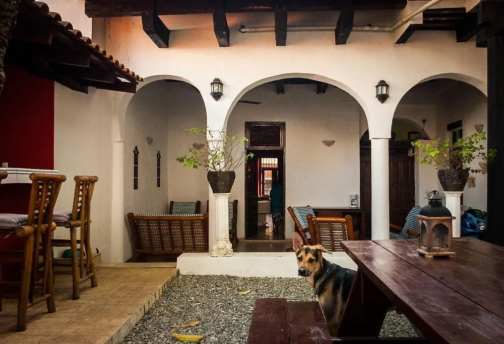 Island Life Hostel سانتو دومينجو